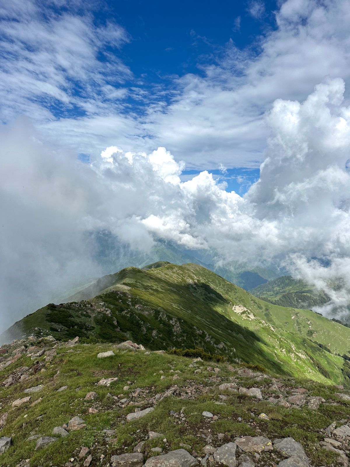 Sun Bayi Trek